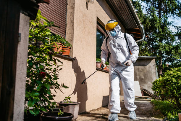 Best Flea Control Services  in Nocona, TX