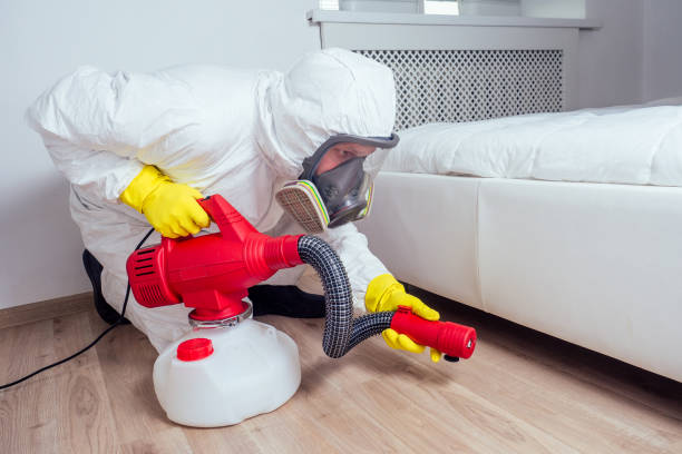 Best Wildlife Control Services  in Nocona, TX