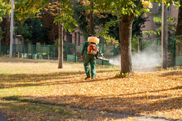 Best Pest Prevention Services  in Nocona, TX