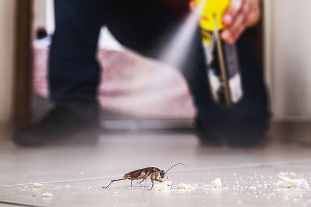 Best Pest Prevention Services  in Nocona, TX