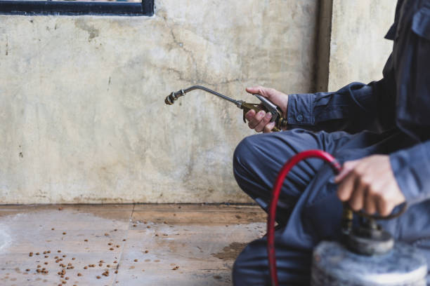 Reliable Nocona, TX Pest Control Solutions